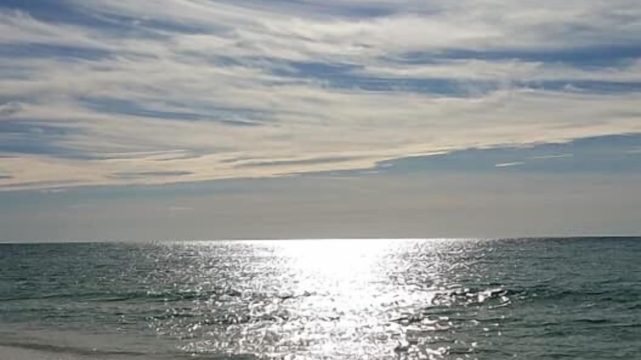 Photo of Others in Navarre Beach