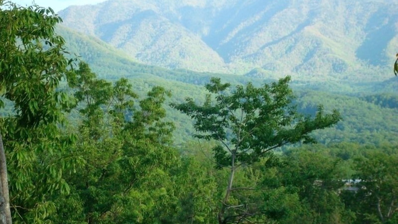 Photo of Others in Black Bear Falls