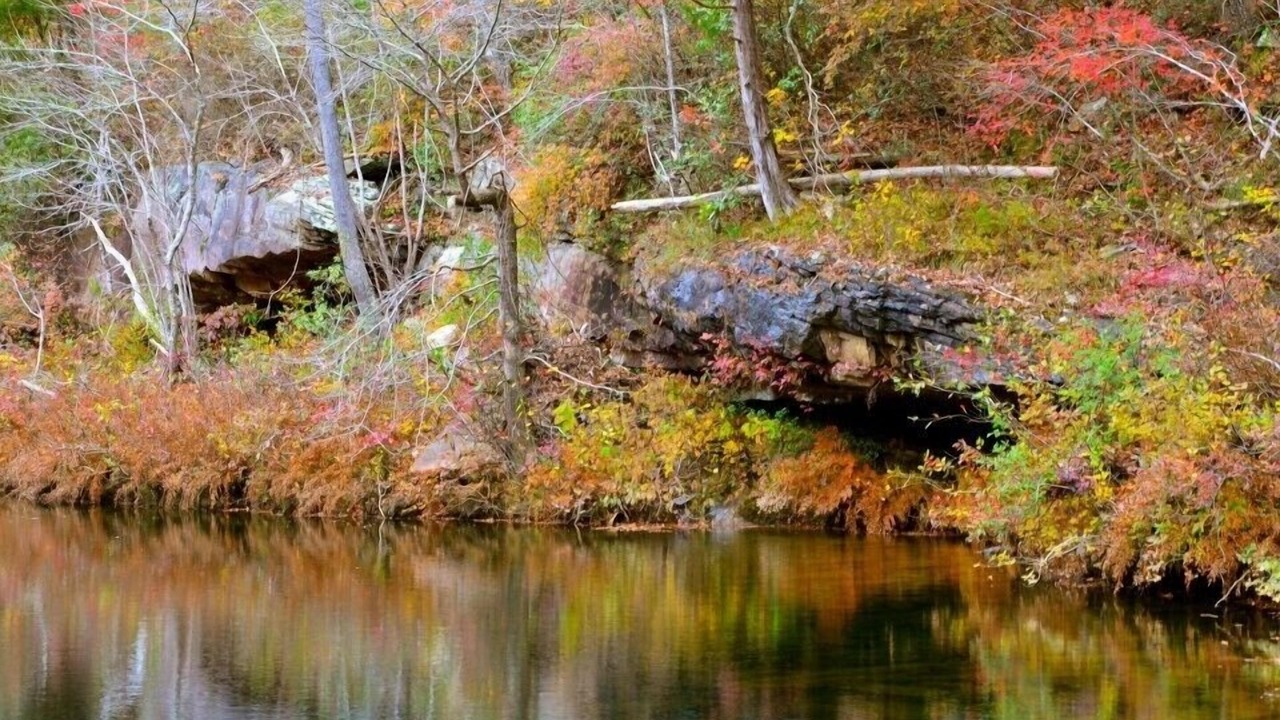 Photo of Others in Mentone