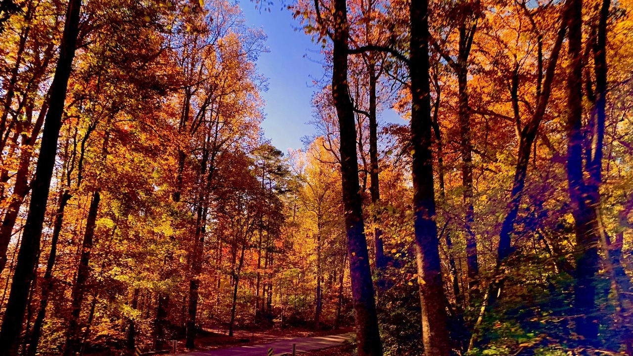 Photo of Outdoor in Mentone
