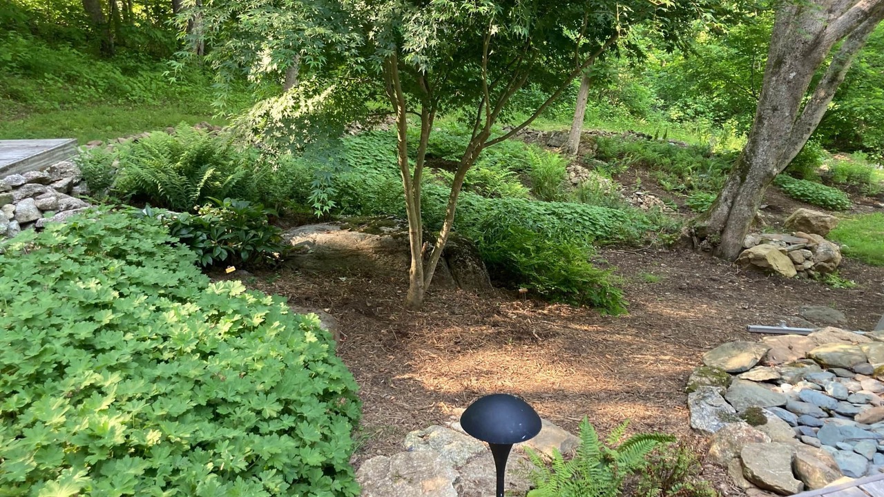 Photo of Outdoor in Montebello
