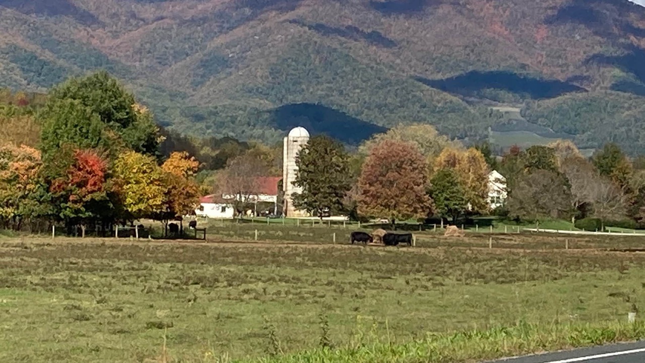 Photo of Others in Montebello