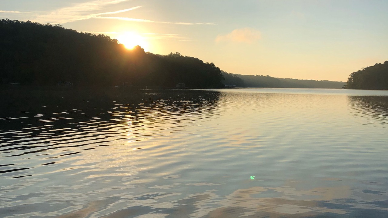 Photo of Others in Martin