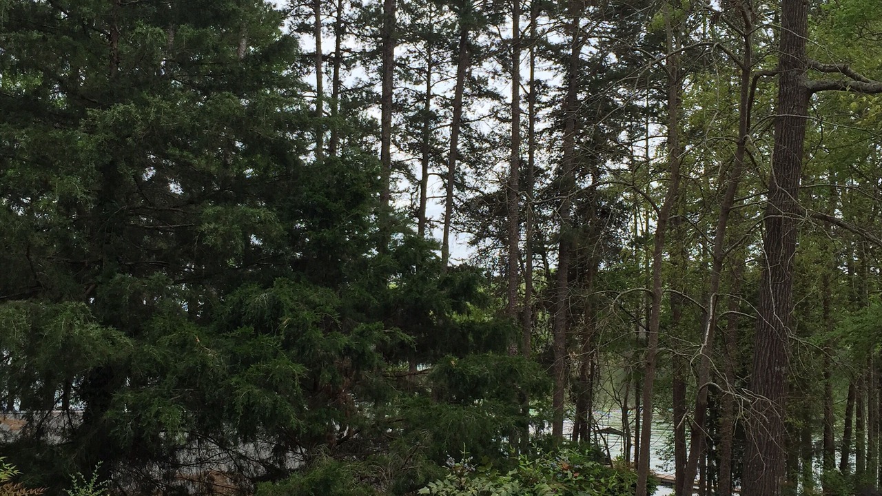 Photo of Outdoor in Martin