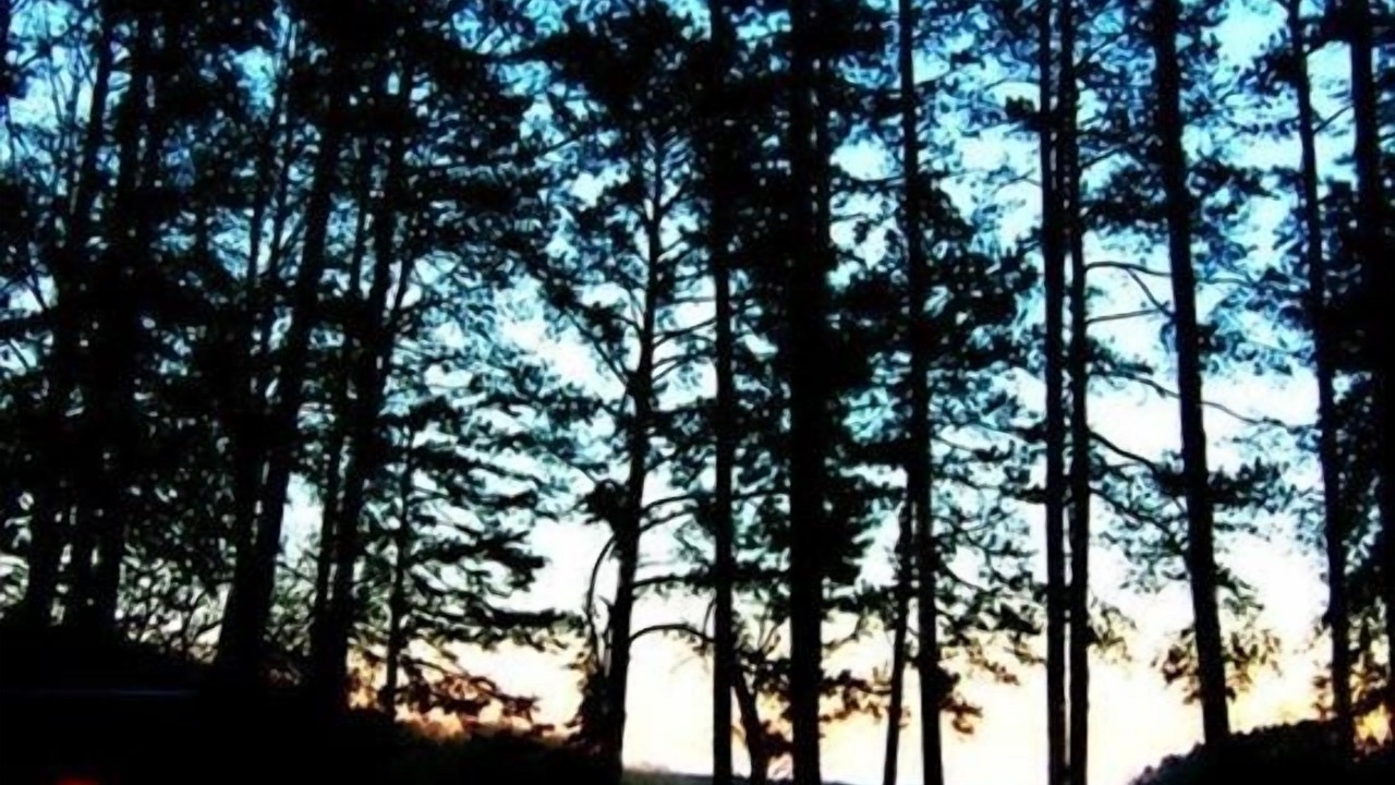 Photo of Others in Martin