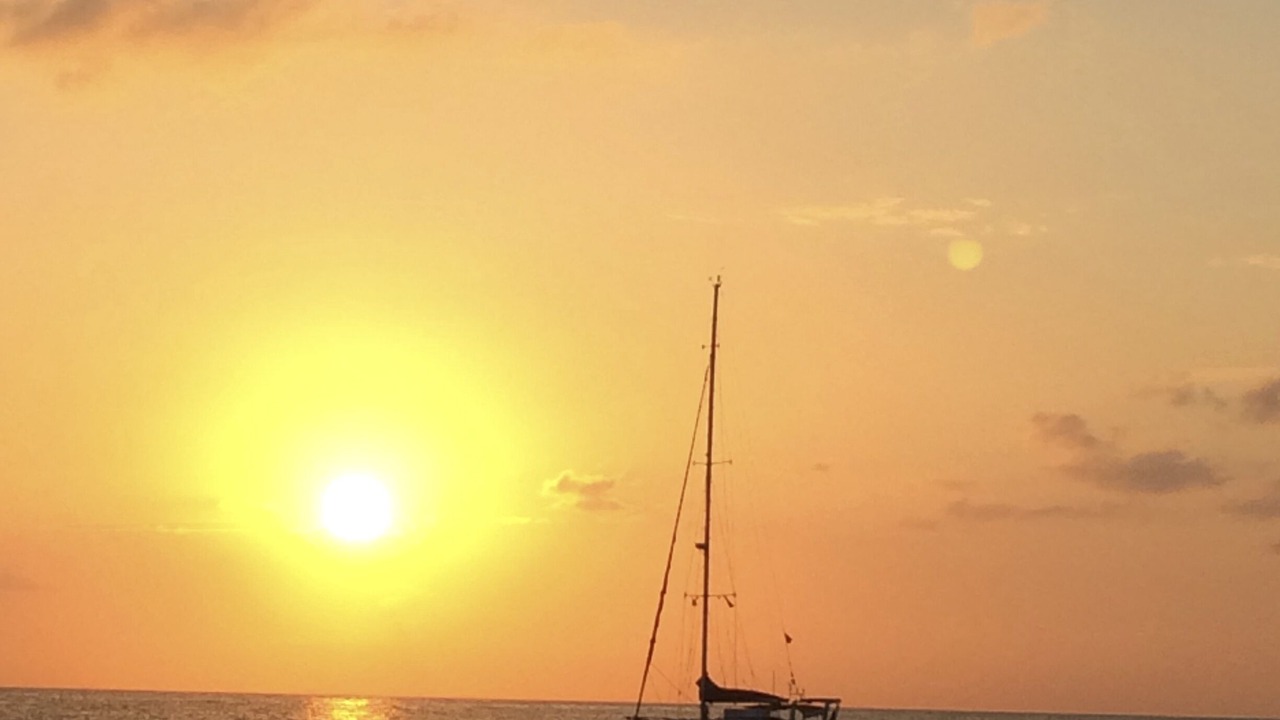Photo of Others in Big Pine Key