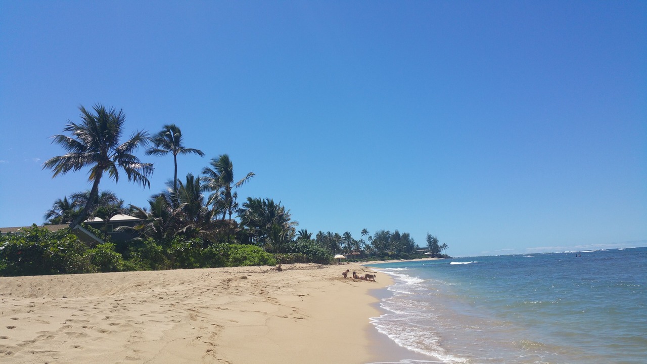 Photo of Others in Waialua