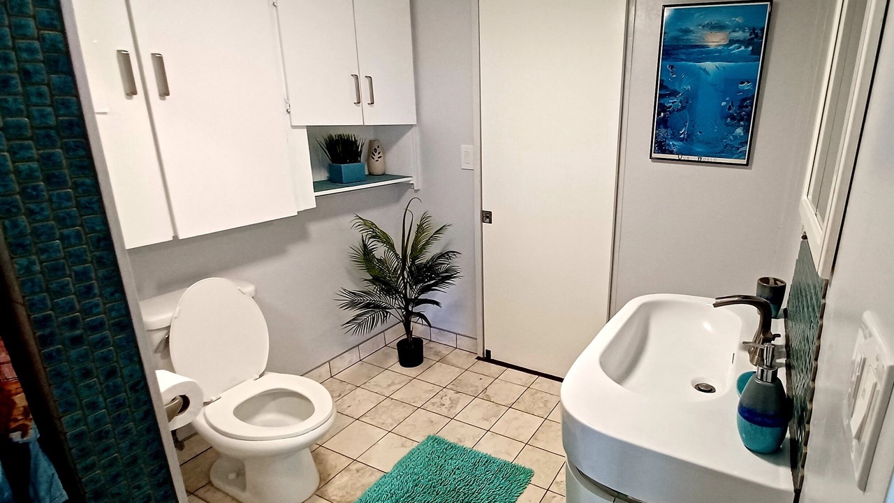 Photo of Bathroom in Waialua