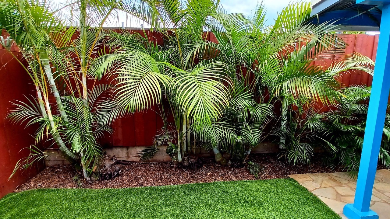 Photo of Outdoor in Waialua