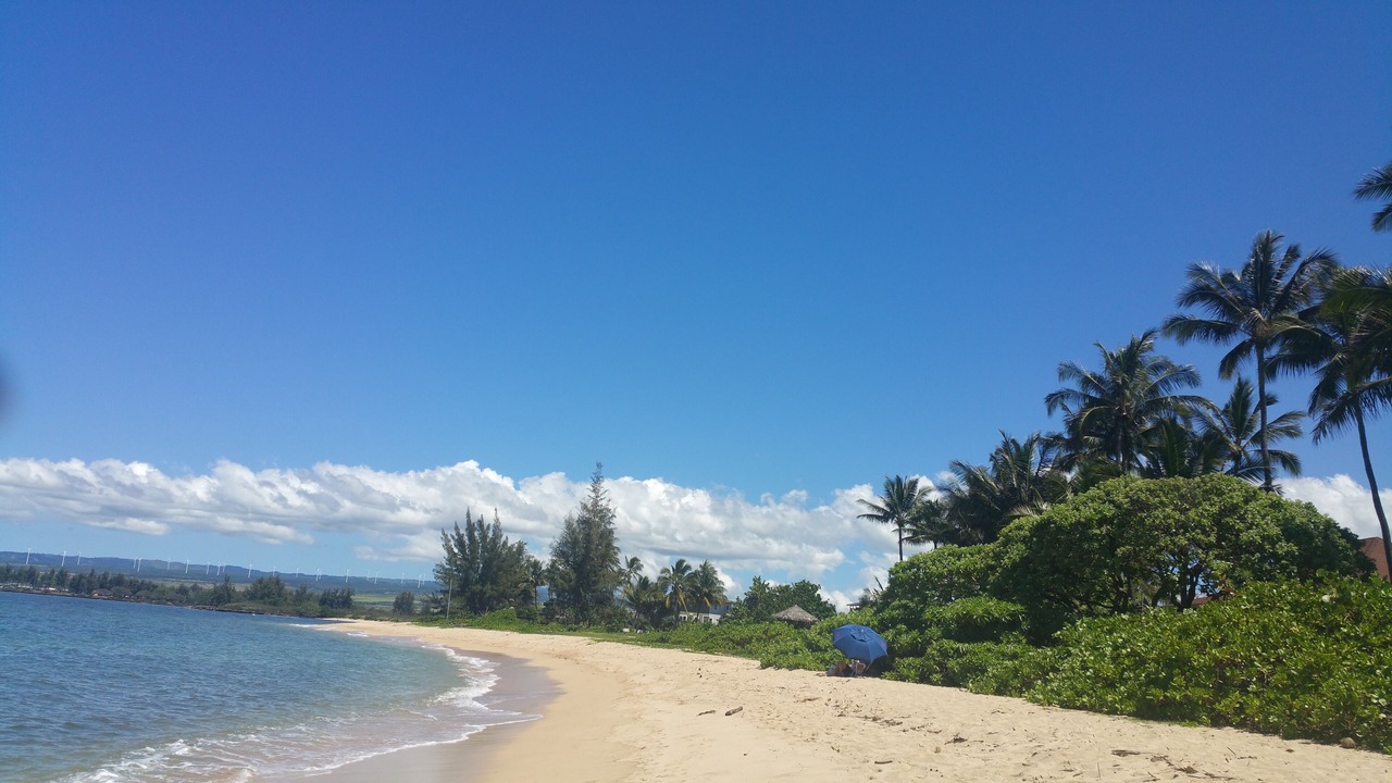 Photo of Others in Waialua