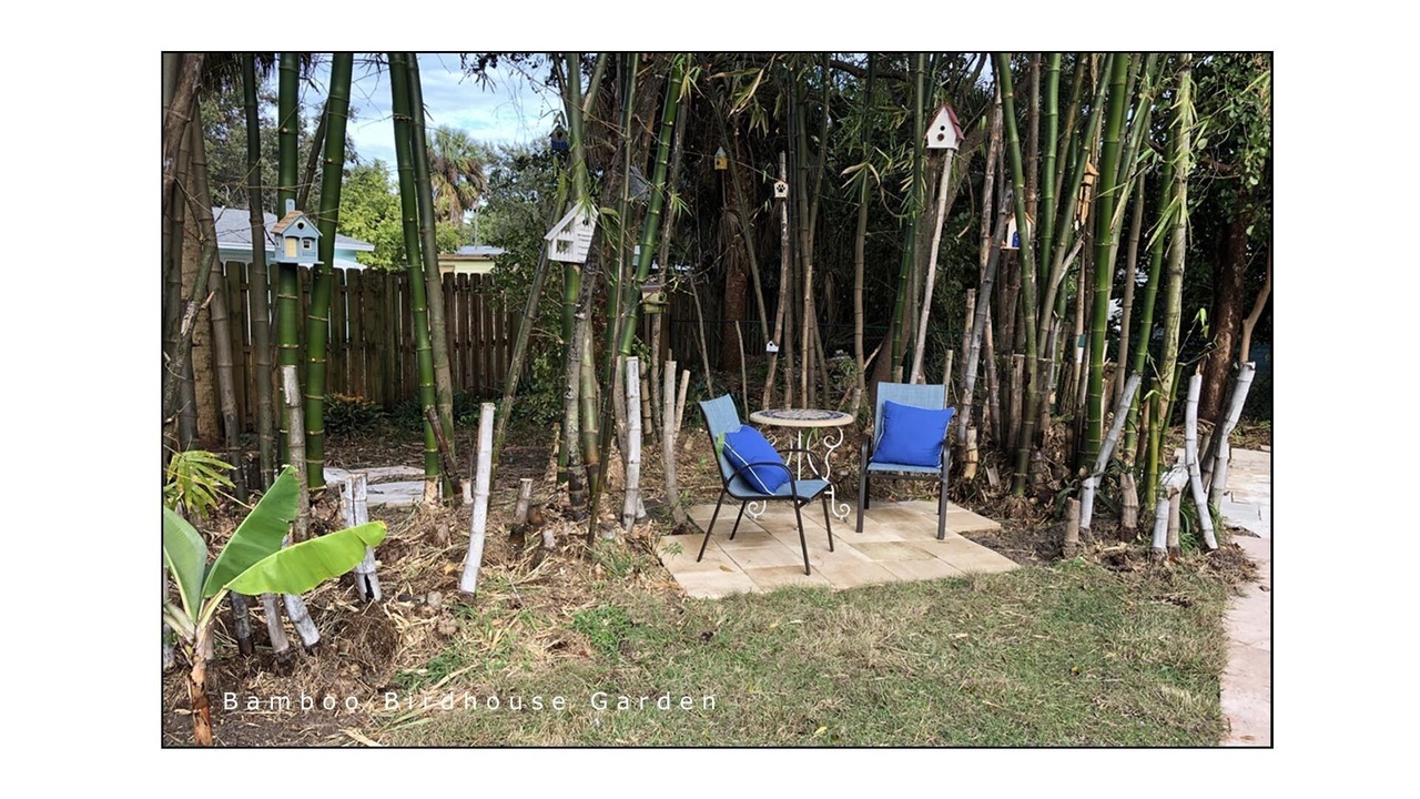 Photo of Outdoor in Rio