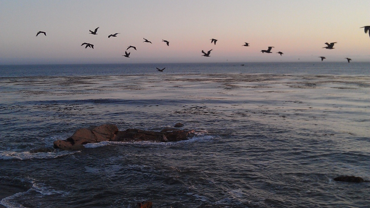 Photo of Others in Shell Beach