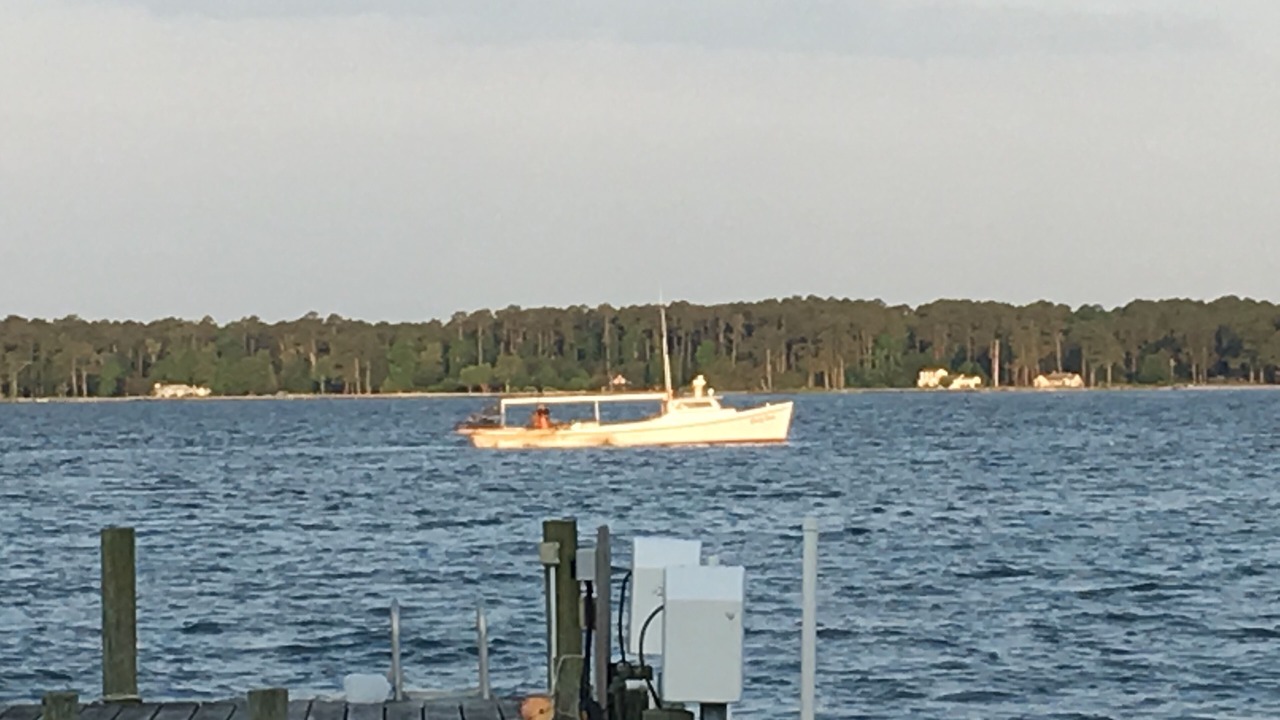 Photo of Others in North