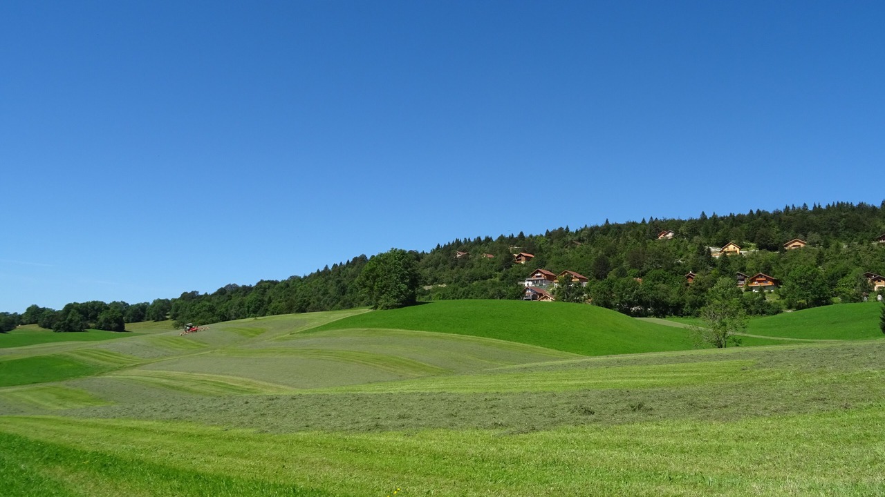 Photo of Others in Foncine-le-Haut