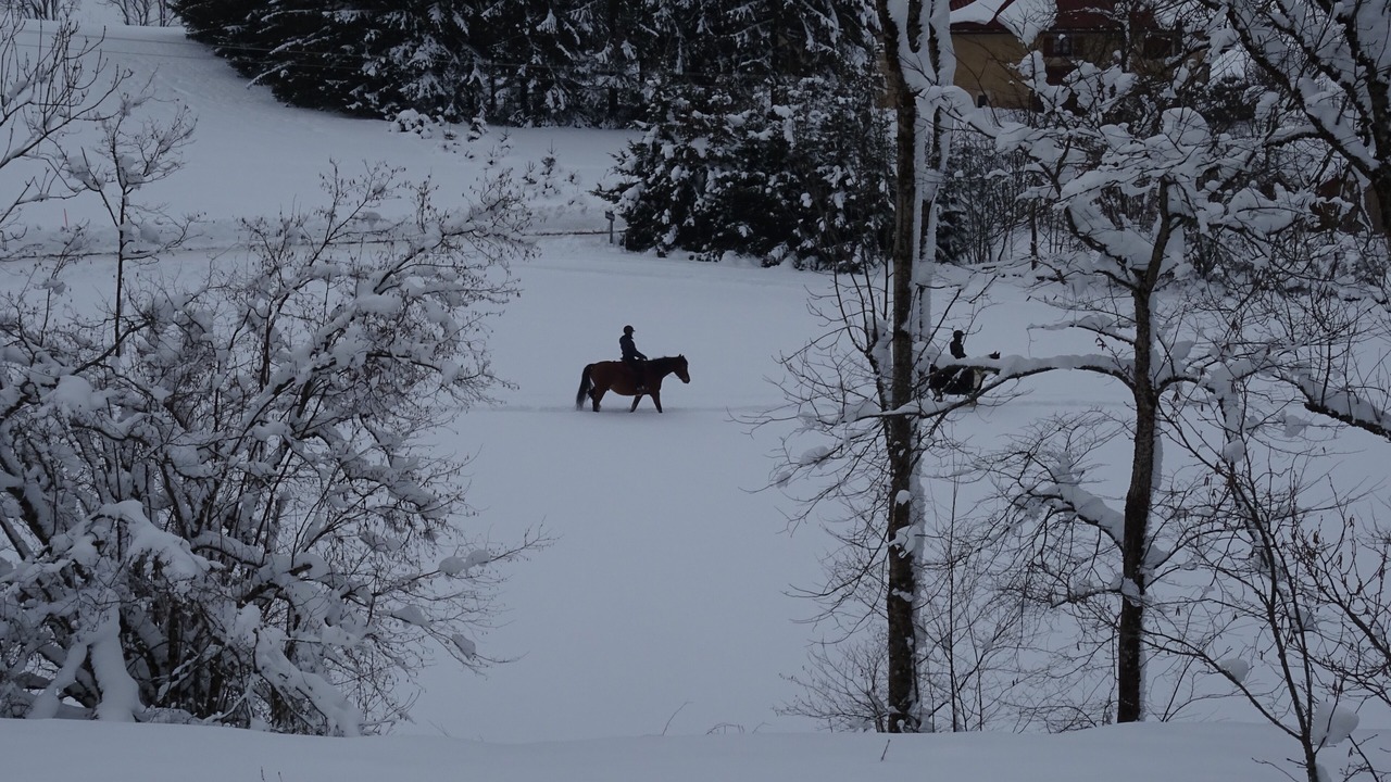 Photo of Others in Foncine-le-Haut