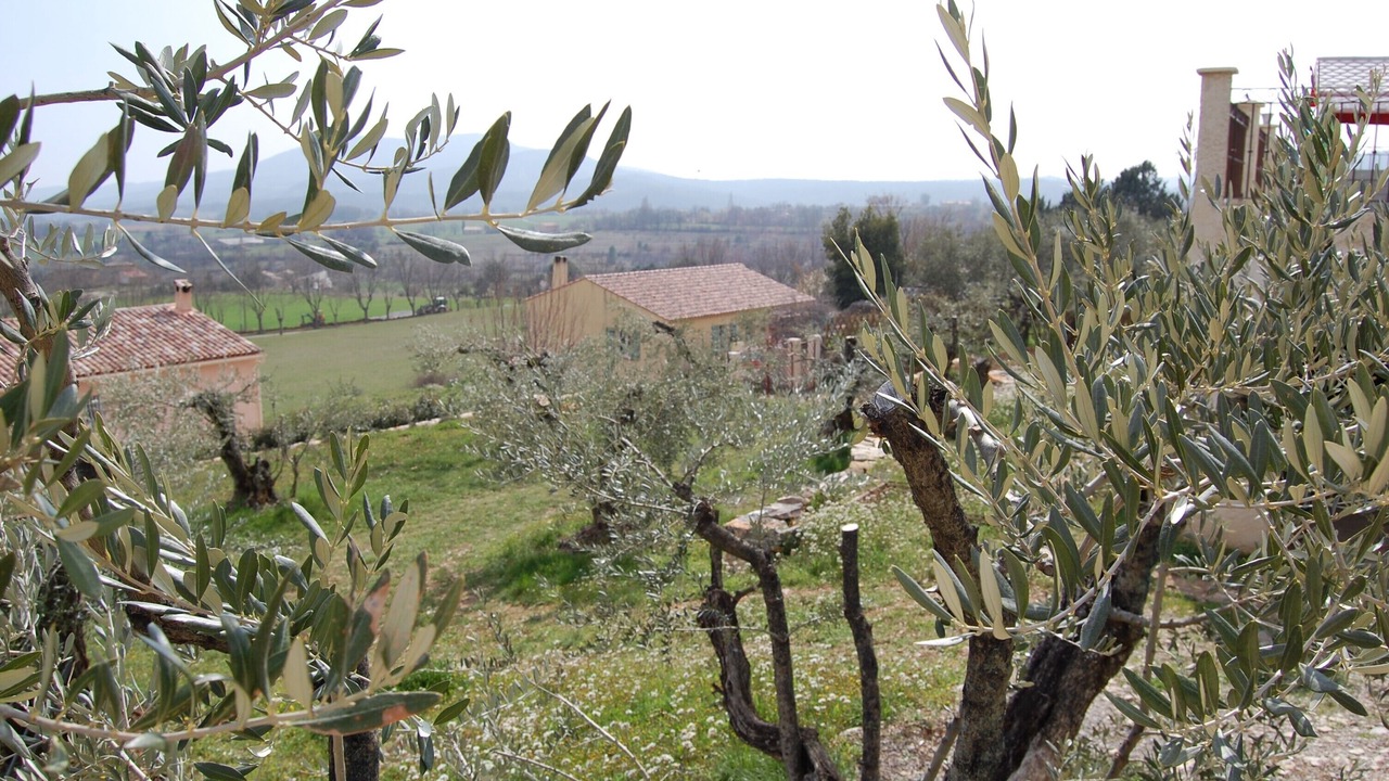 Photo of Outdoor in Ongles