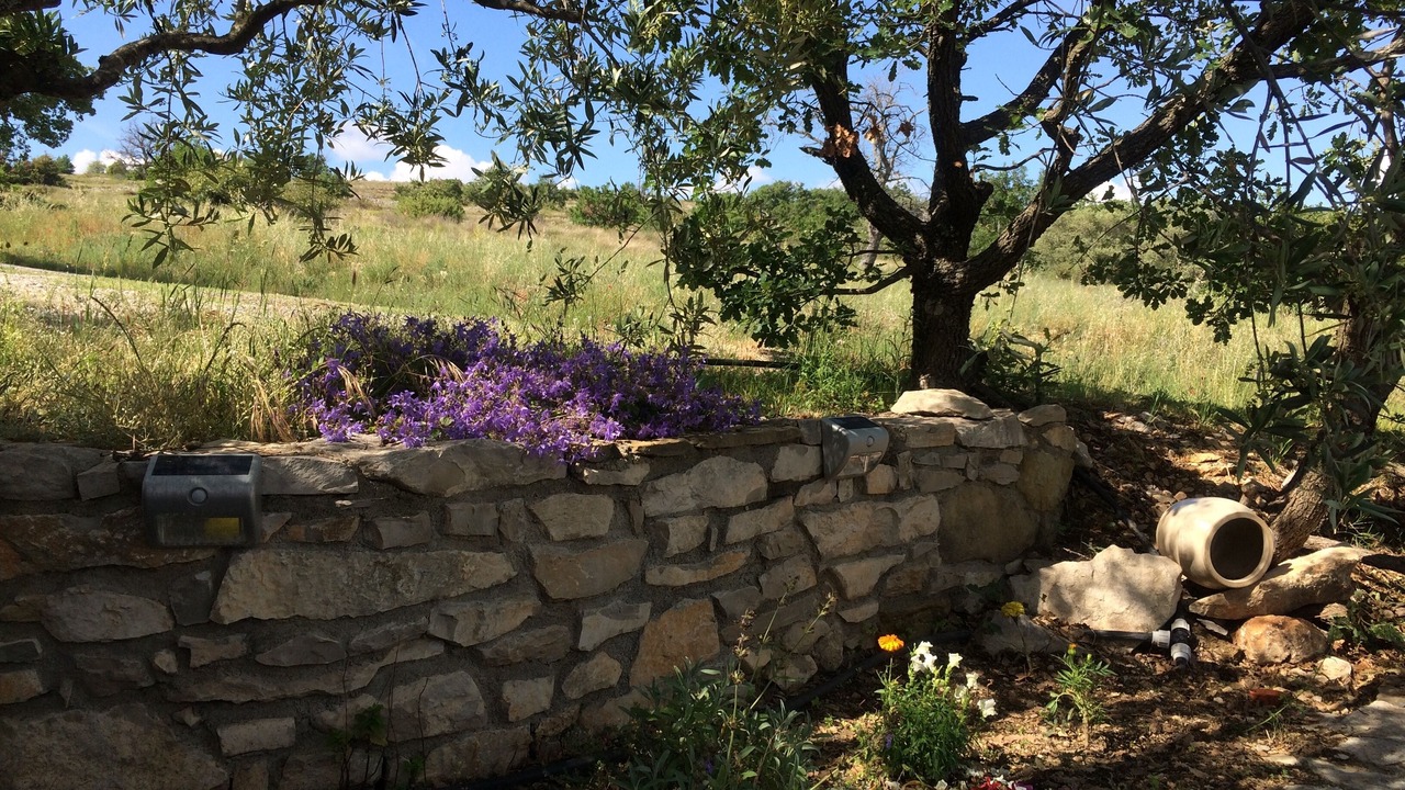 Photo of Outdoor in Ongles