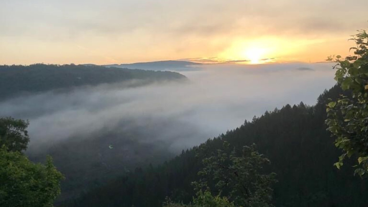 Photo of Others in Saint-Rome-de-Cernon