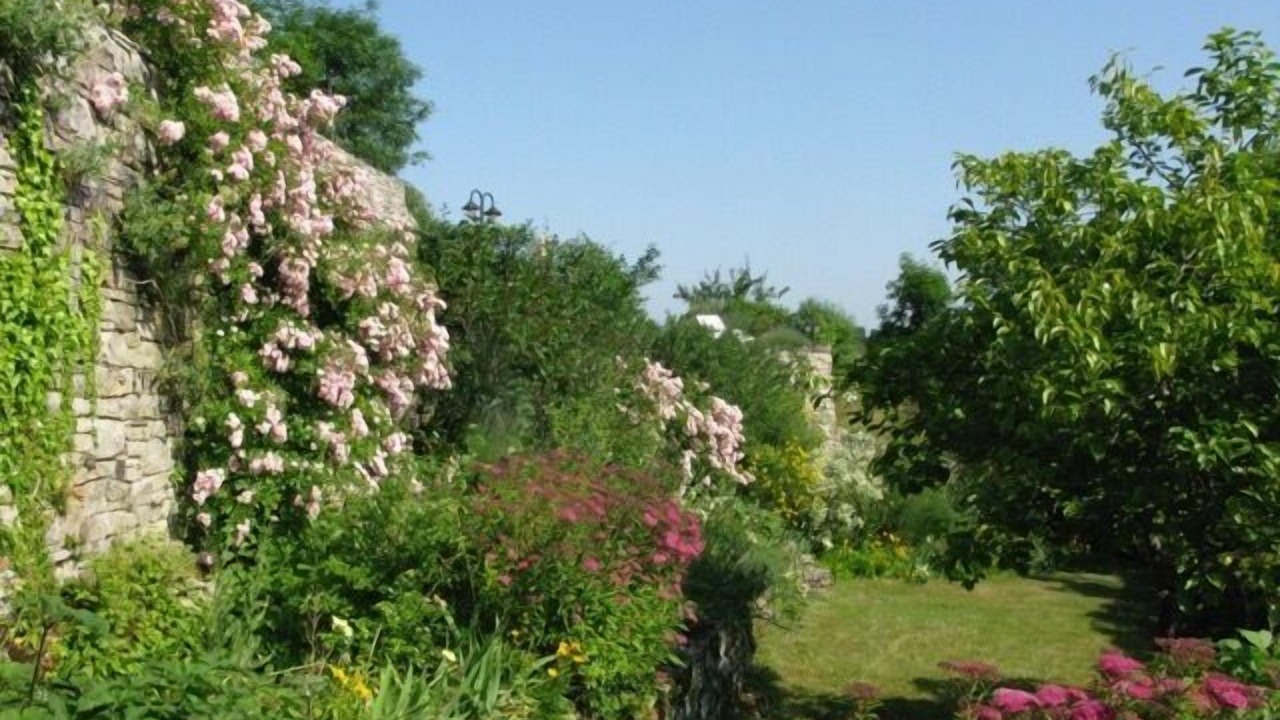 Photo of Outdoor in Saint-Rome-de-Cernon