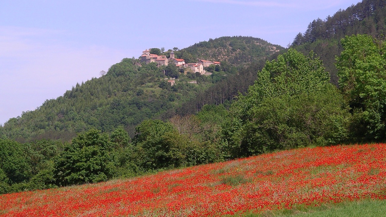 Photo of Outdoor in Saint-Rome-de-Cernon