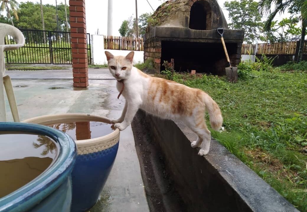 Photo of Outdoor in Lubok Buaya