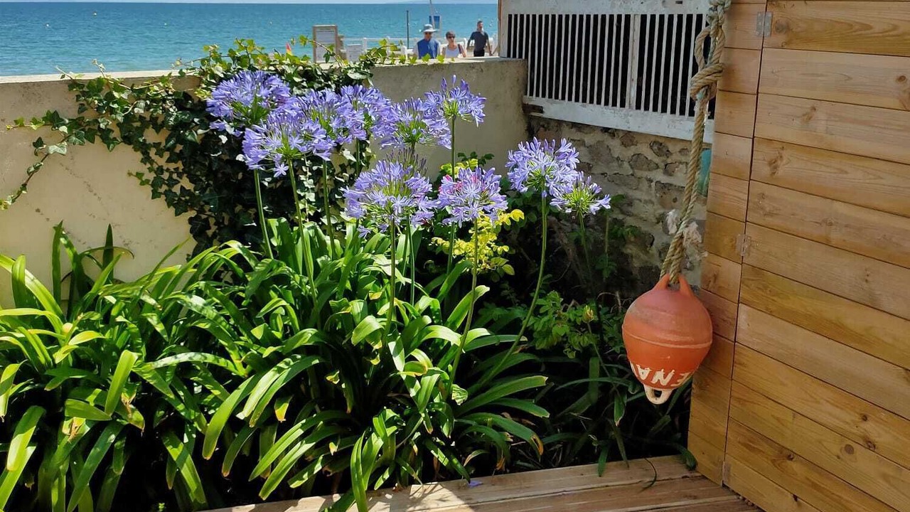 Photo of Outdoor in Lion-sur-Mer