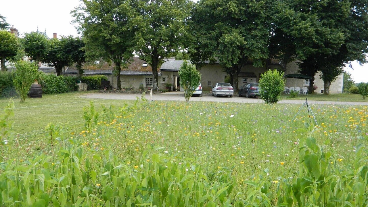 Photo of Outdoor in Lussault-sur-Loire