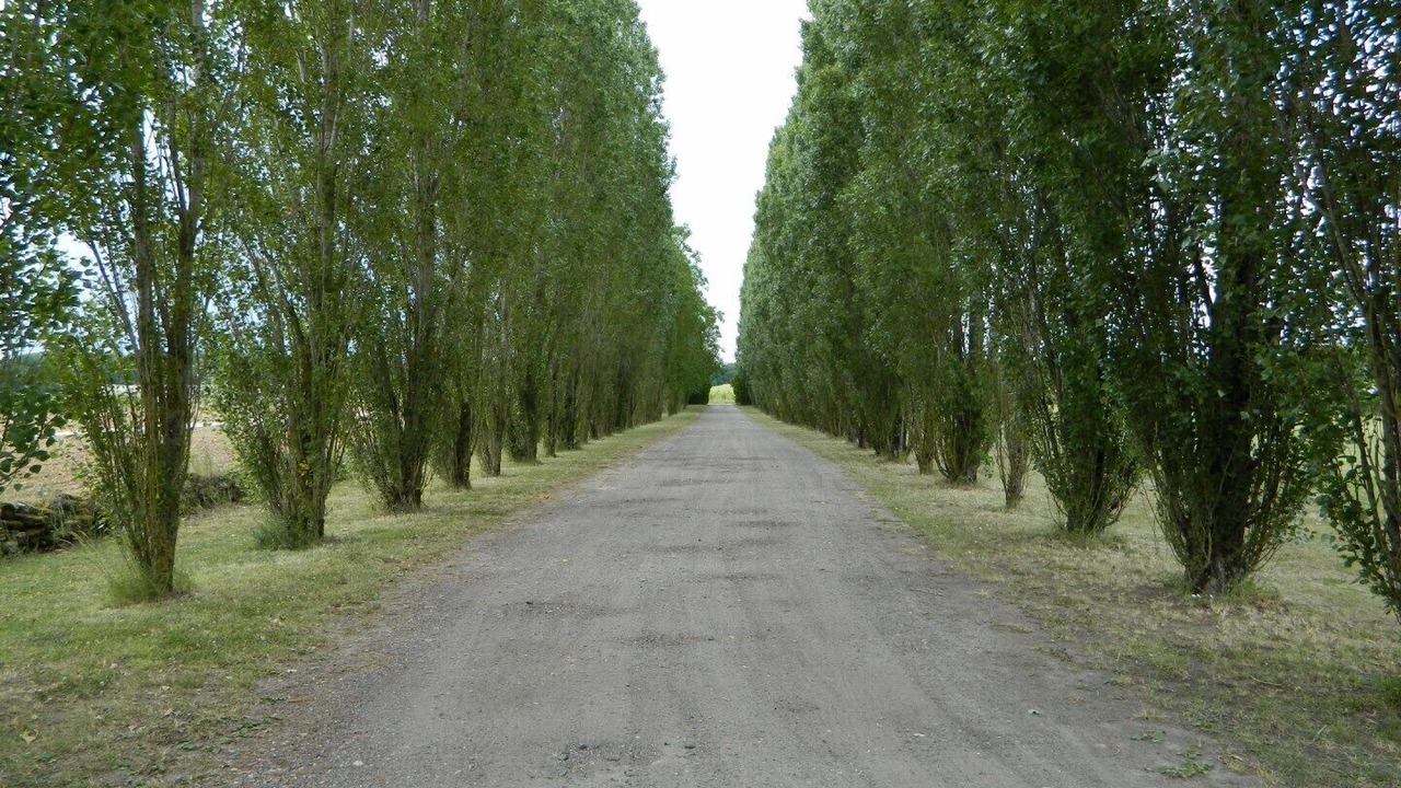 Photo of Outdoor in Lussault-sur-Loire