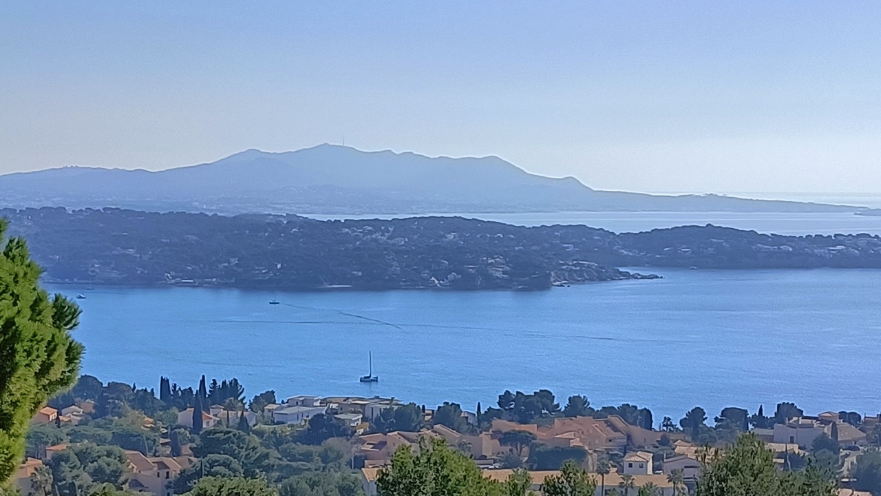 Photo of Others in Bandol