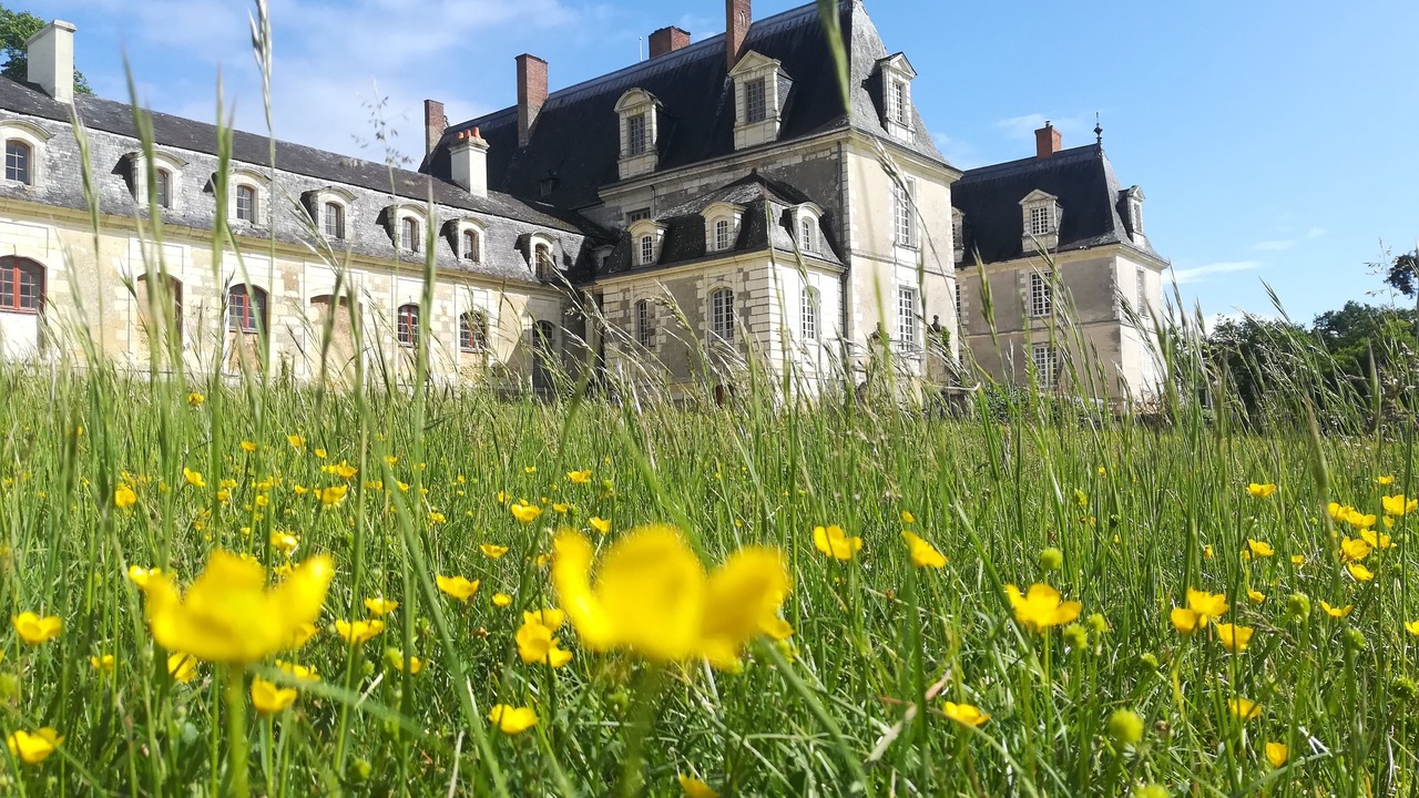 Photo of Outdoor in Gizeux