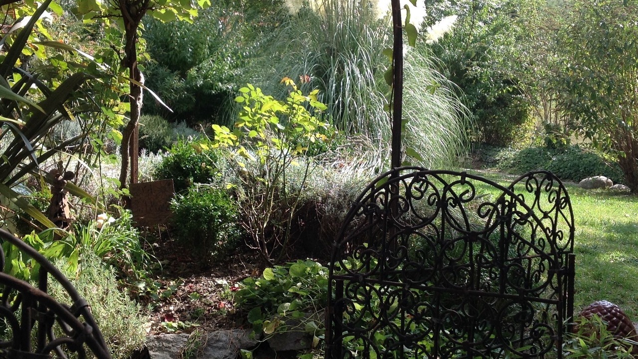 Photo of Outdoor in Chamborigaud