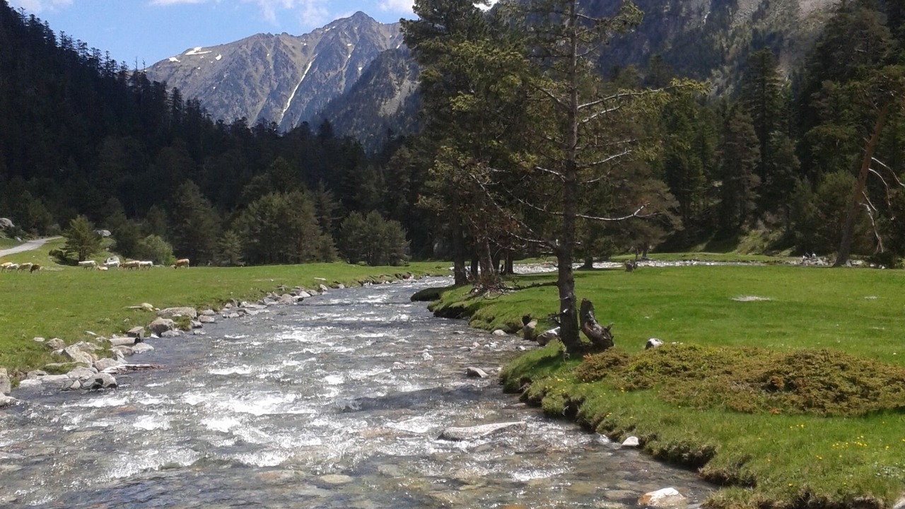 Photo of Others in Cauterets
