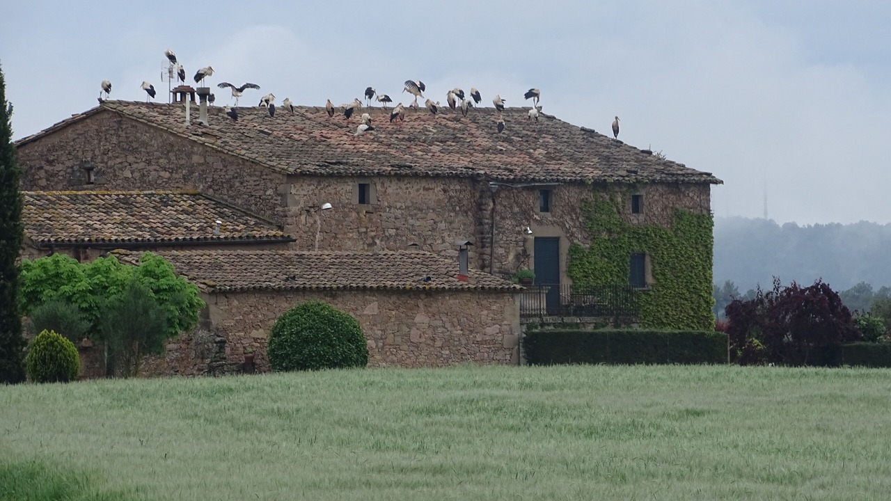 Photo of Outdoor in Gargalla