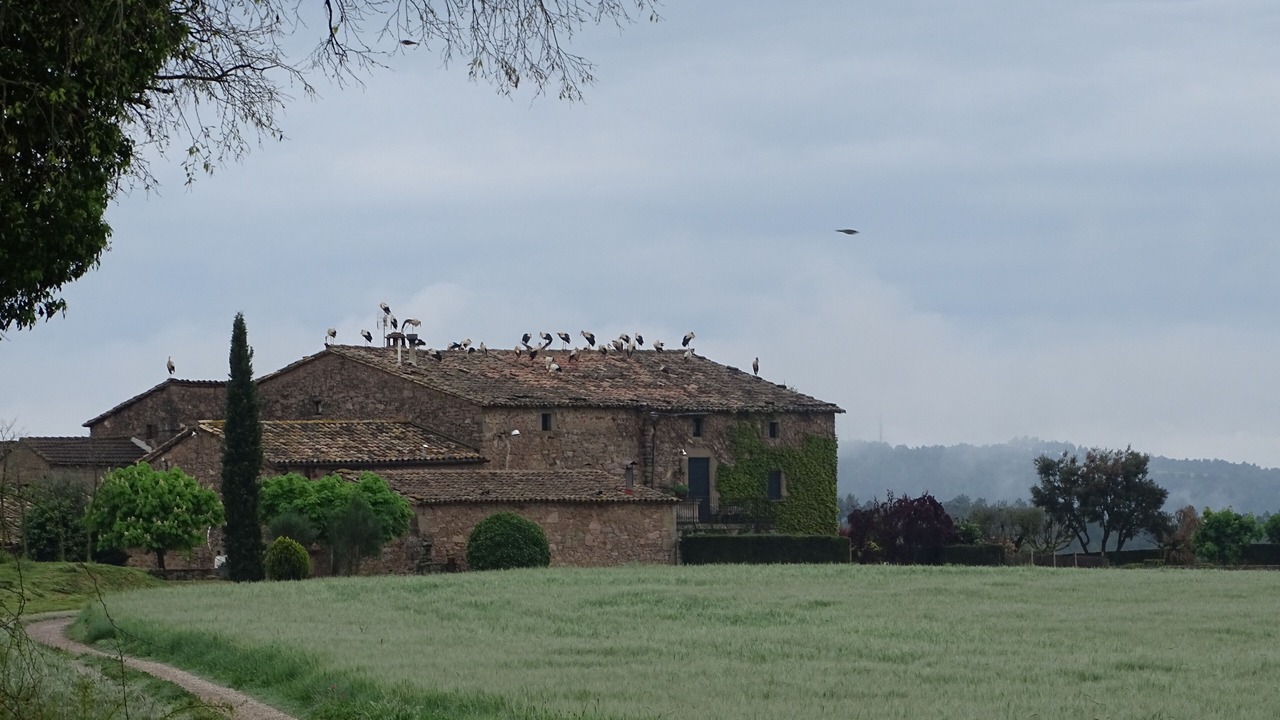 Photo of Outdoor in Gargalla