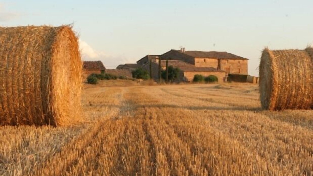 Photo of Outdoor in Gargalla