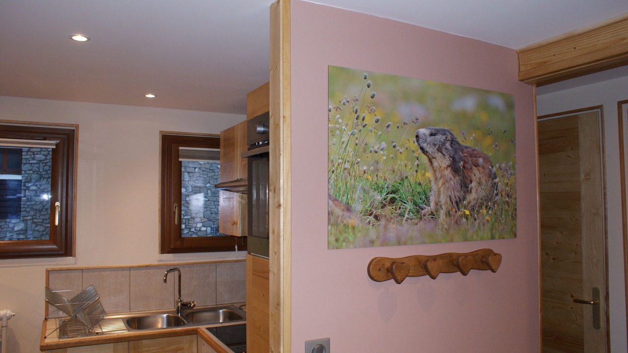 Photo of Kitchen in Les Carroz-d'Araches