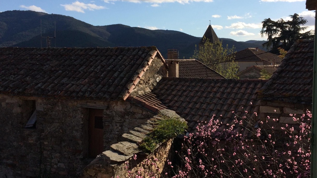 Photo of Others in Mons