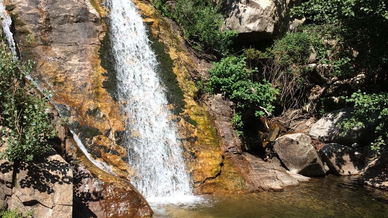 Photo of Others in Mons