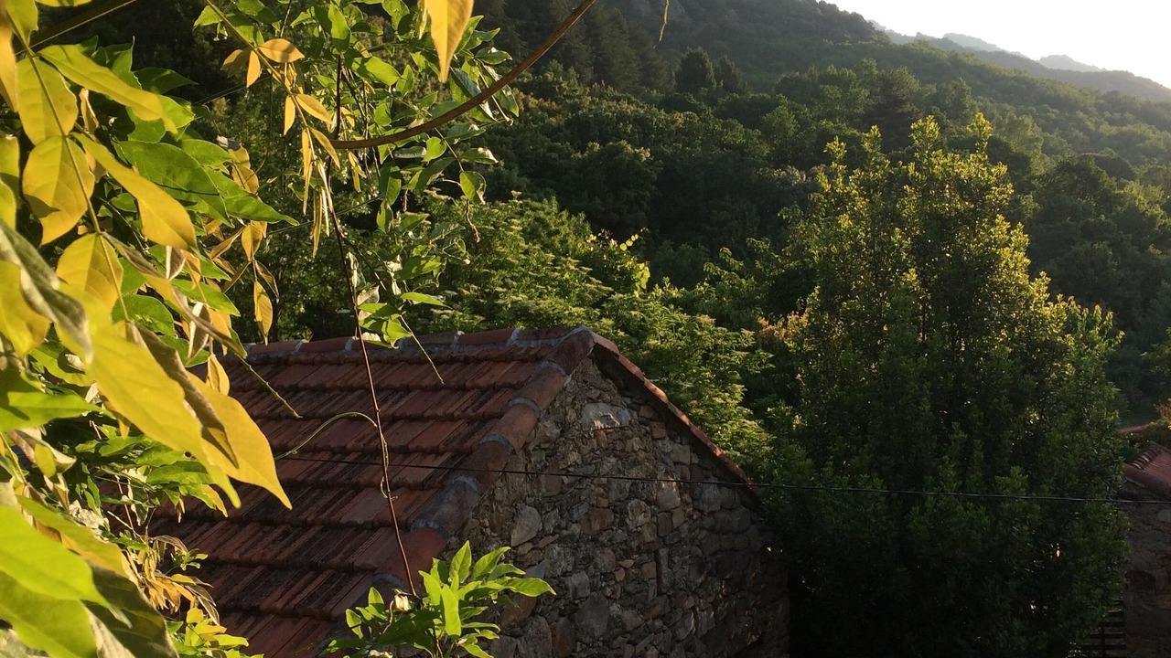 Photo of Bathroom in Mons