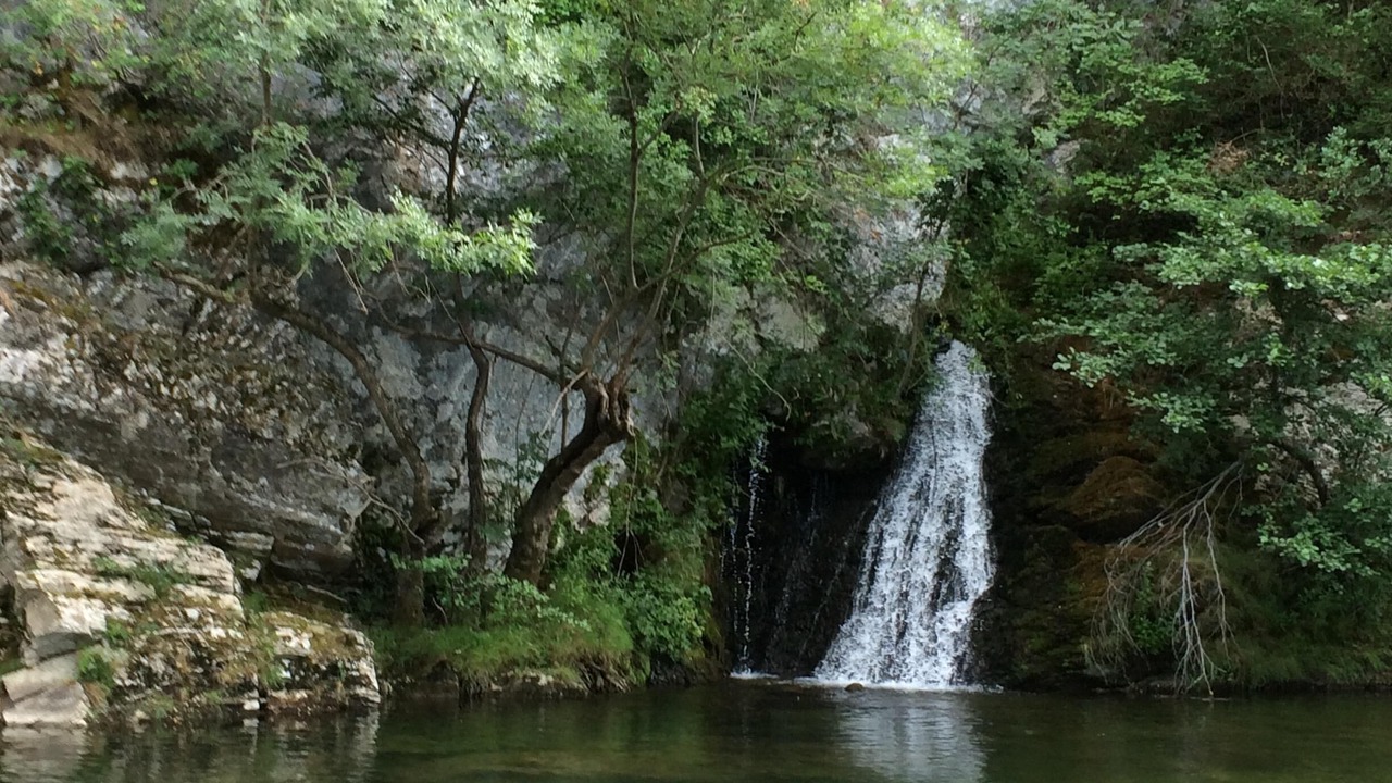 Photo of Others in Mons