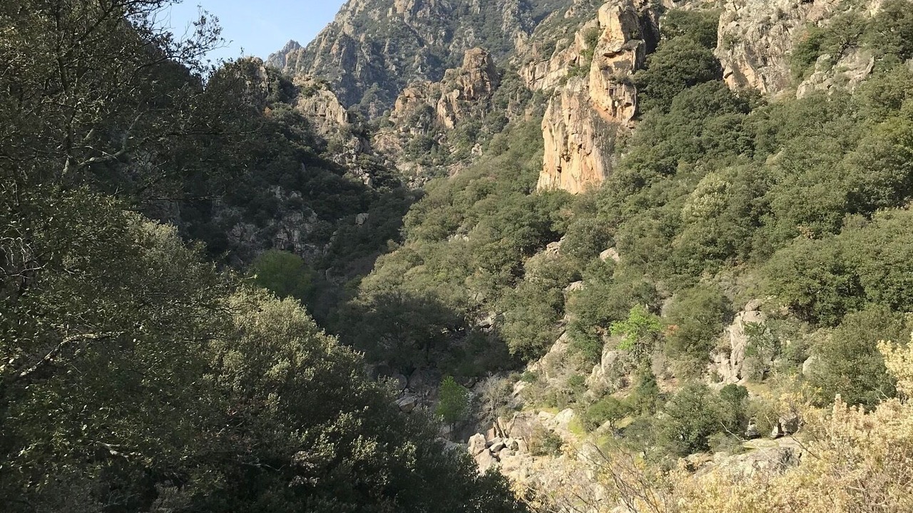 Photo of Others in Mons