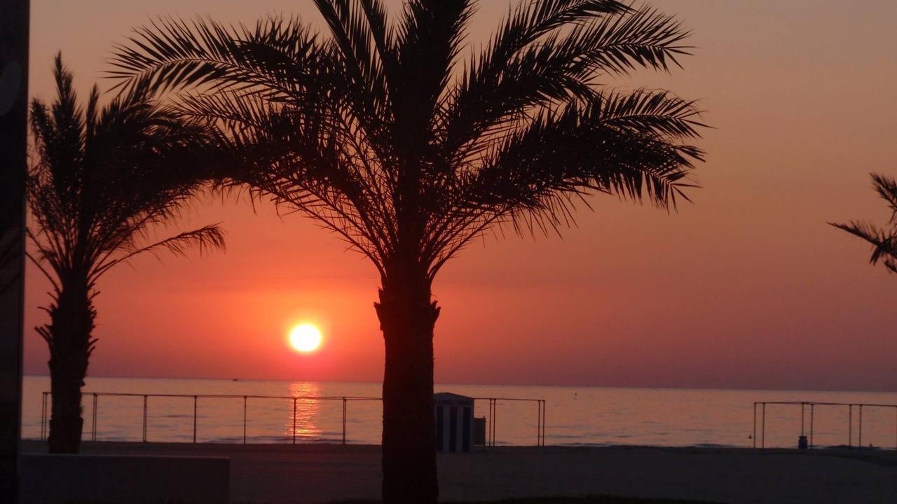 Photo of Others in Grao de Gandia