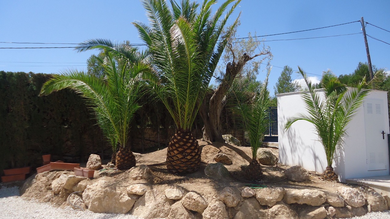 Photo of Outdoor in L Almadrava