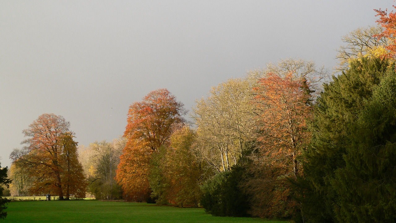 Photo of Others in Juvigny