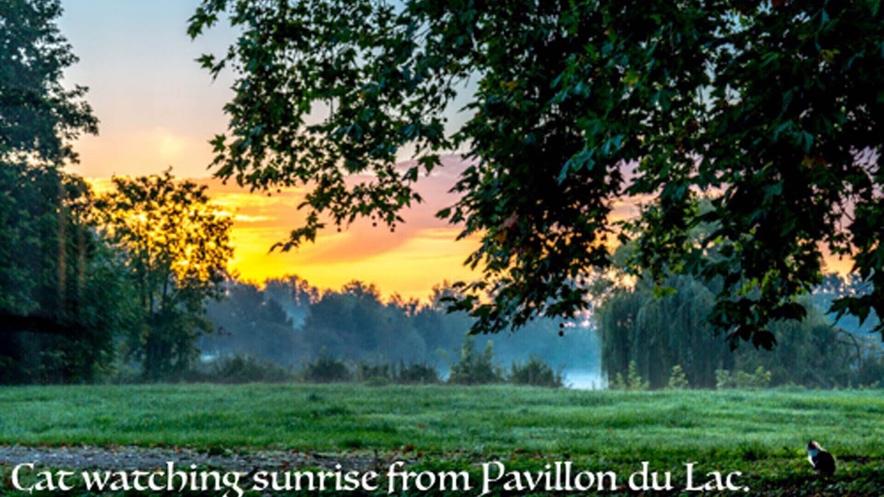 Photo of Outdoor in Juvigny