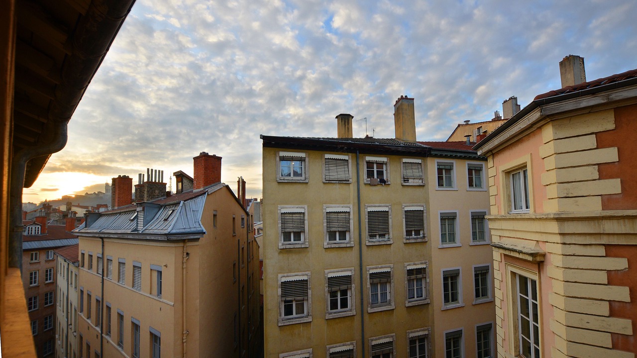 Photo of Others in Griffon - Royale