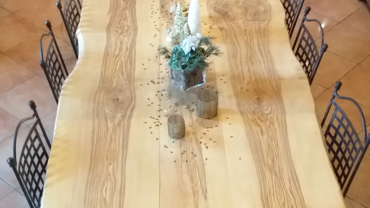 Photo of Others in Doissat