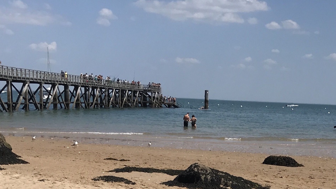 Photo of Others in Noirmoutier-en-l'Ile