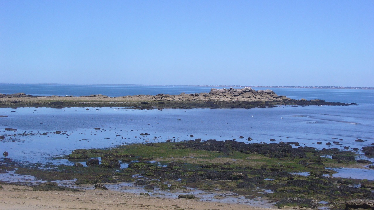 Photo of Others in Noirmoutier-en-l'Ile