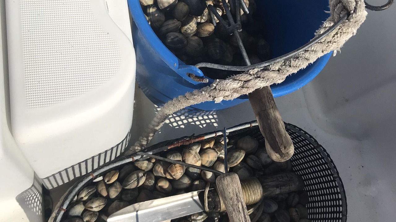 Photo of Others in Noirmoutier-en-l'Ile